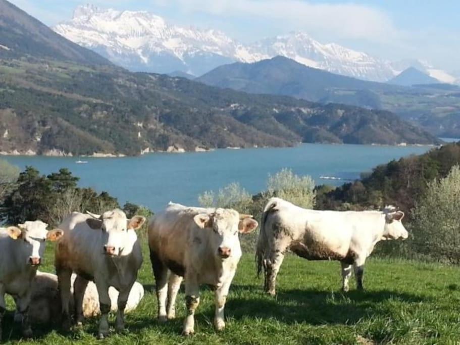 Gite De Charme : La Grange Au Lac Azur Treffort  Eksteriør billede
